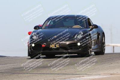 media/Oct-19-2024-Speed Ventures (Sat) [[2b24c230c9]]/Purple/Session 2 (Grapevine)/